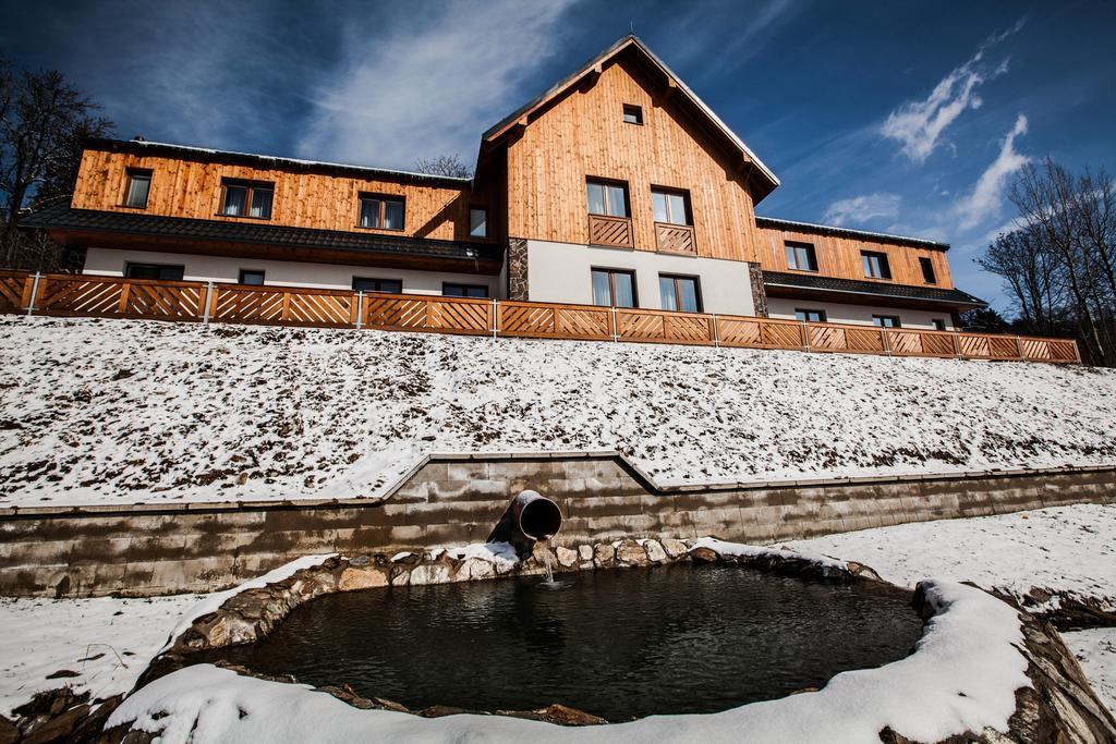 Penzion Kozel - Herlikovice Krkonose Врхлабі Екстер'єр фото